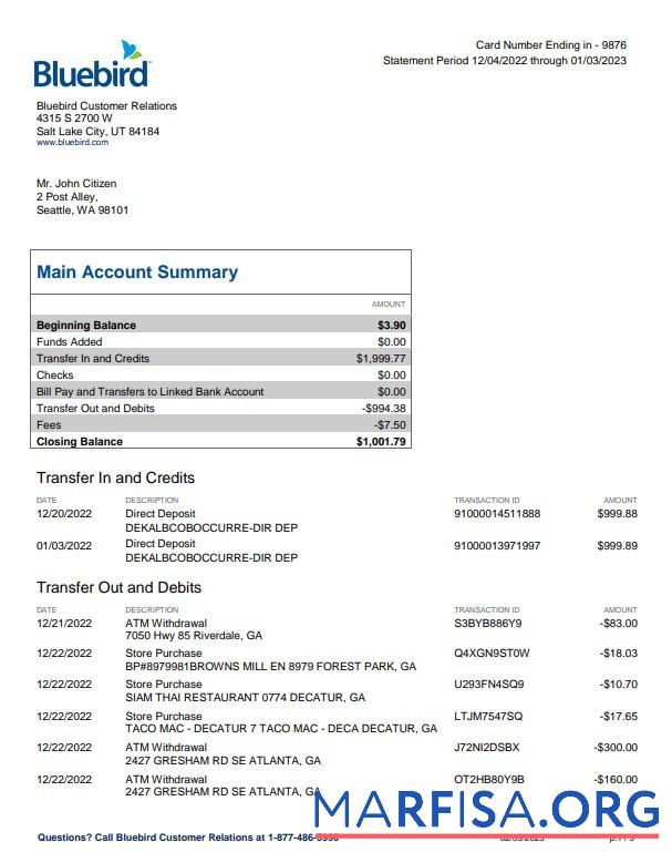 Realistic USA Bluebird bank statement word 3 pages download for verification